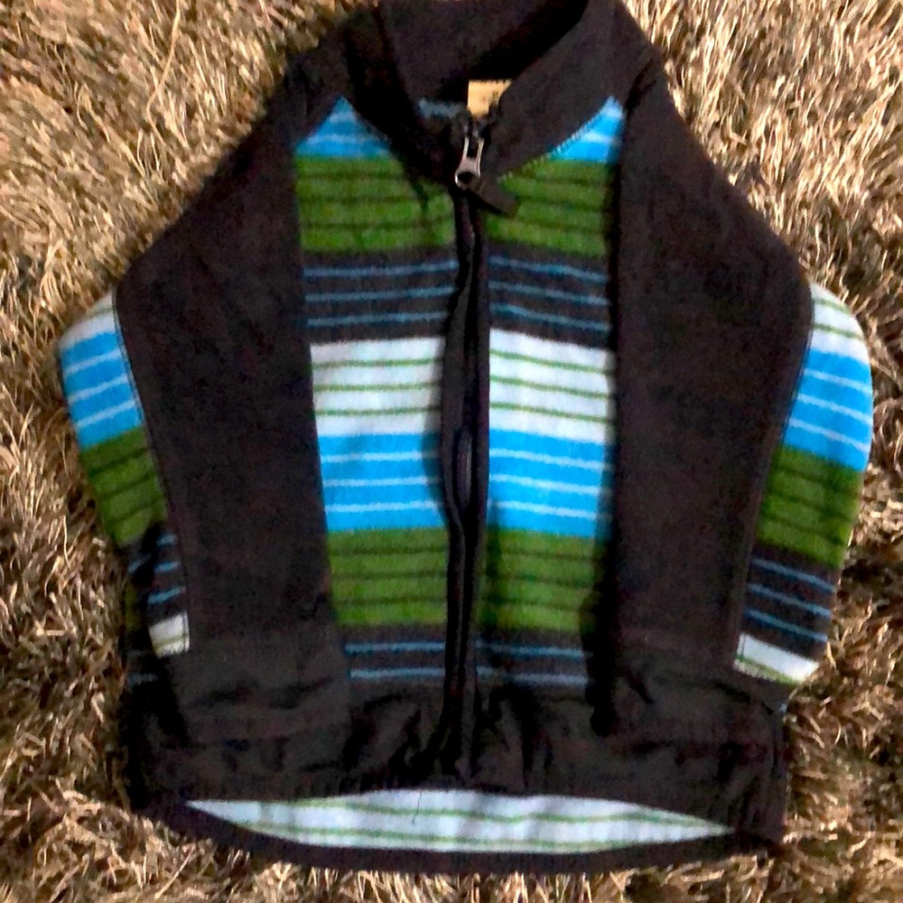 Baby Gap Sweater